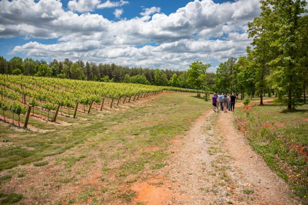 Touring the Vines at Parker-Binns