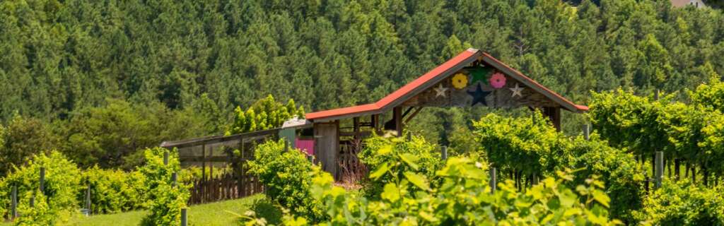 Overmountain Vineyards